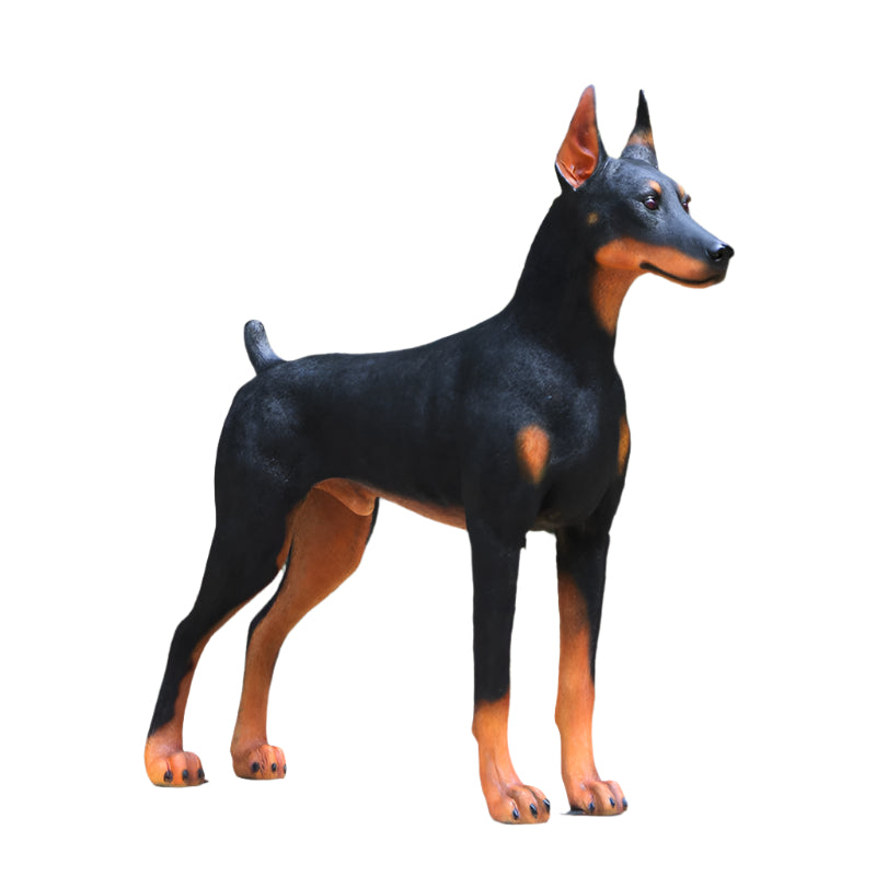 Made to Order: Standing Doberman