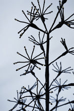 Load image into Gallery viewer, 48&quot; H I/0 Black Flowering Twinkling LED Tree
