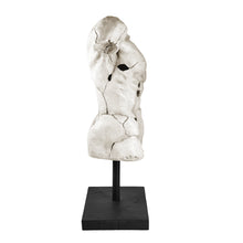 Load image into Gallery viewer, Male Torso Sculpture on Stand
