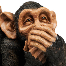 Load image into Gallery viewer, See/Hear/Speak No Evil Monkey Family - Hi-Line Exclusive
