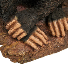Load image into Gallery viewer, See/Hear/Speak No Evil Monkey Family - Hi-Line Exclusive
