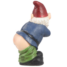 Load image into Gallery viewer, Gnome Mooning
