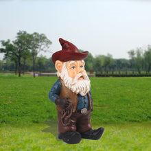 Load image into Gallery viewer, Gnome Cowboy
