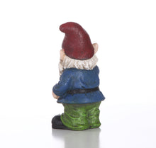 Load image into Gallery viewer, Winking Gnome - 10 in
