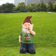 Load image into Gallery viewer, Smoking Gnome Usa
