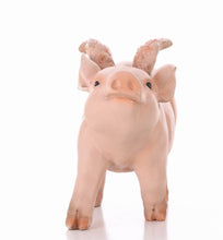 Load image into Gallery viewer, Pig W/Wings Walking
