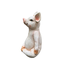 Load image into Gallery viewer, Pig In Meditation
