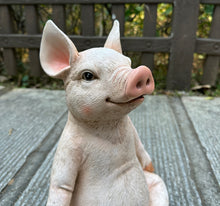 Load image into Gallery viewer, Pig In Meditation
