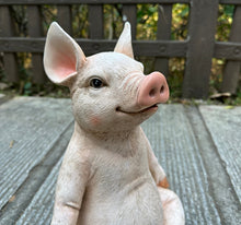 Load image into Gallery viewer, Pig In Meditation
