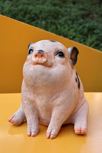 Load image into Gallery viewer, Pig (Hi-Line Exclusive)
