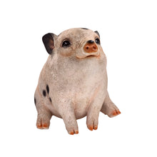 Load image into Gallery viewer, Pig (Hi-Line Exclusive)

