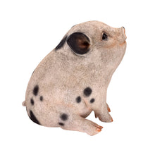 Load image into Gallery viewer, Pig (Hi-Line Exclusive)
