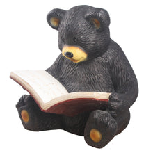 Load image into Gallery viewer, Bear Cub Reading A Book
