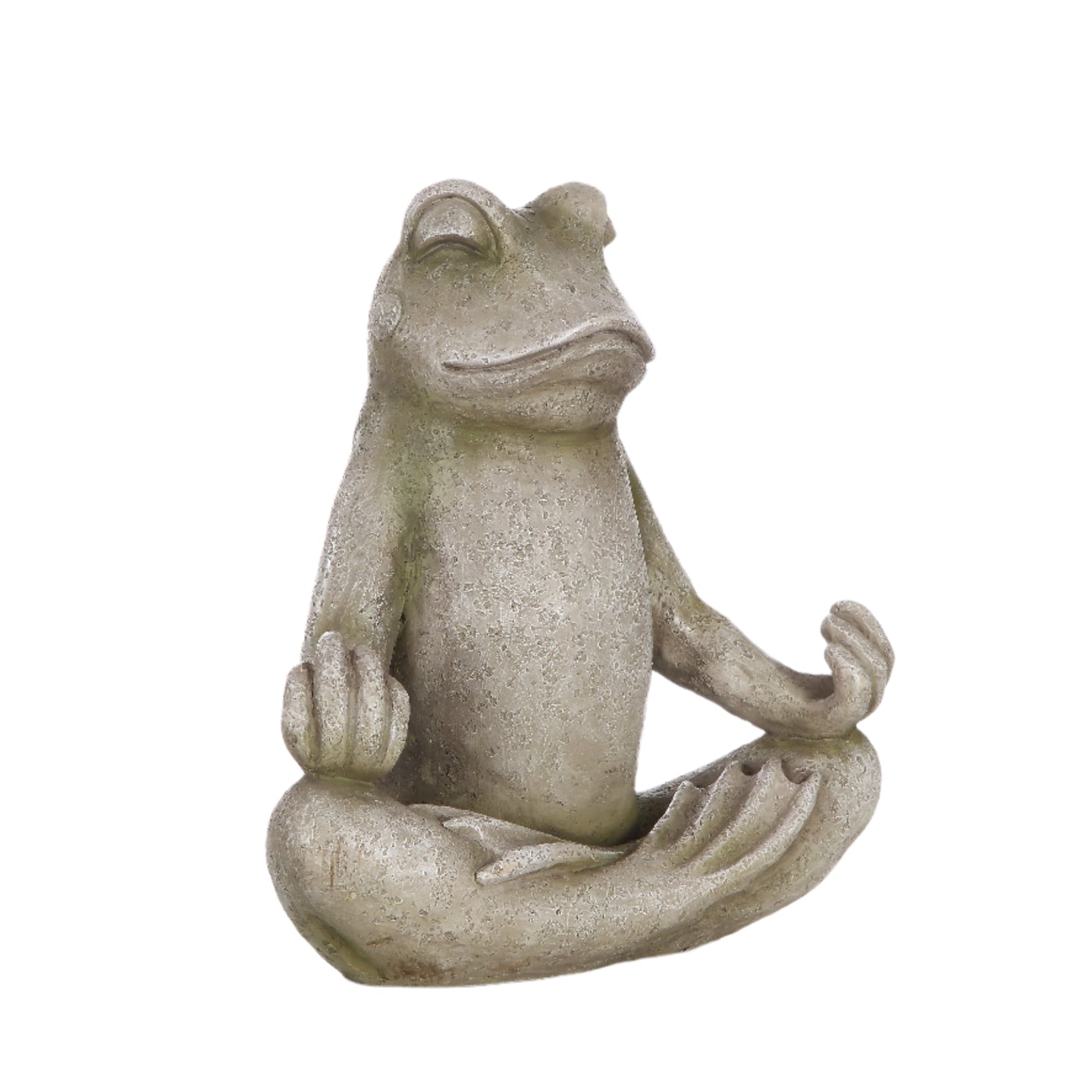 Frog Sitting In Lotus Position