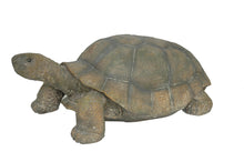Load image into Gallery viewer, Large Turtle
