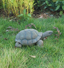 Load image into Gallery viewer, Turtle 10 Inch
