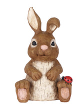 Load image into Gallery viewer, Rabbit Sitting with Ladybug
