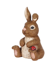 Load image into Gallery viewer, Rabbit Sitting with Ladybug
