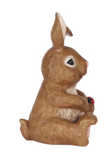 Load image into Gallery viewer, Rabbit Sitting with Ladybug
