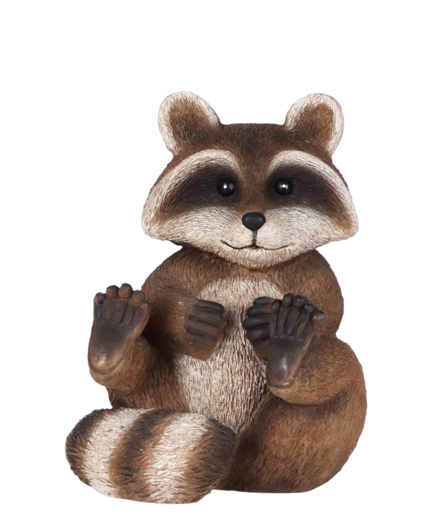 Raccoon Sitting