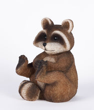 Load image into Gallery viewer, Raccoon Sitting
