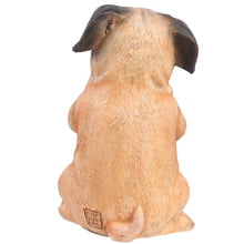 Load image into Gallery viewer, Pug Puppy Sitting - Double Finger Flipping

