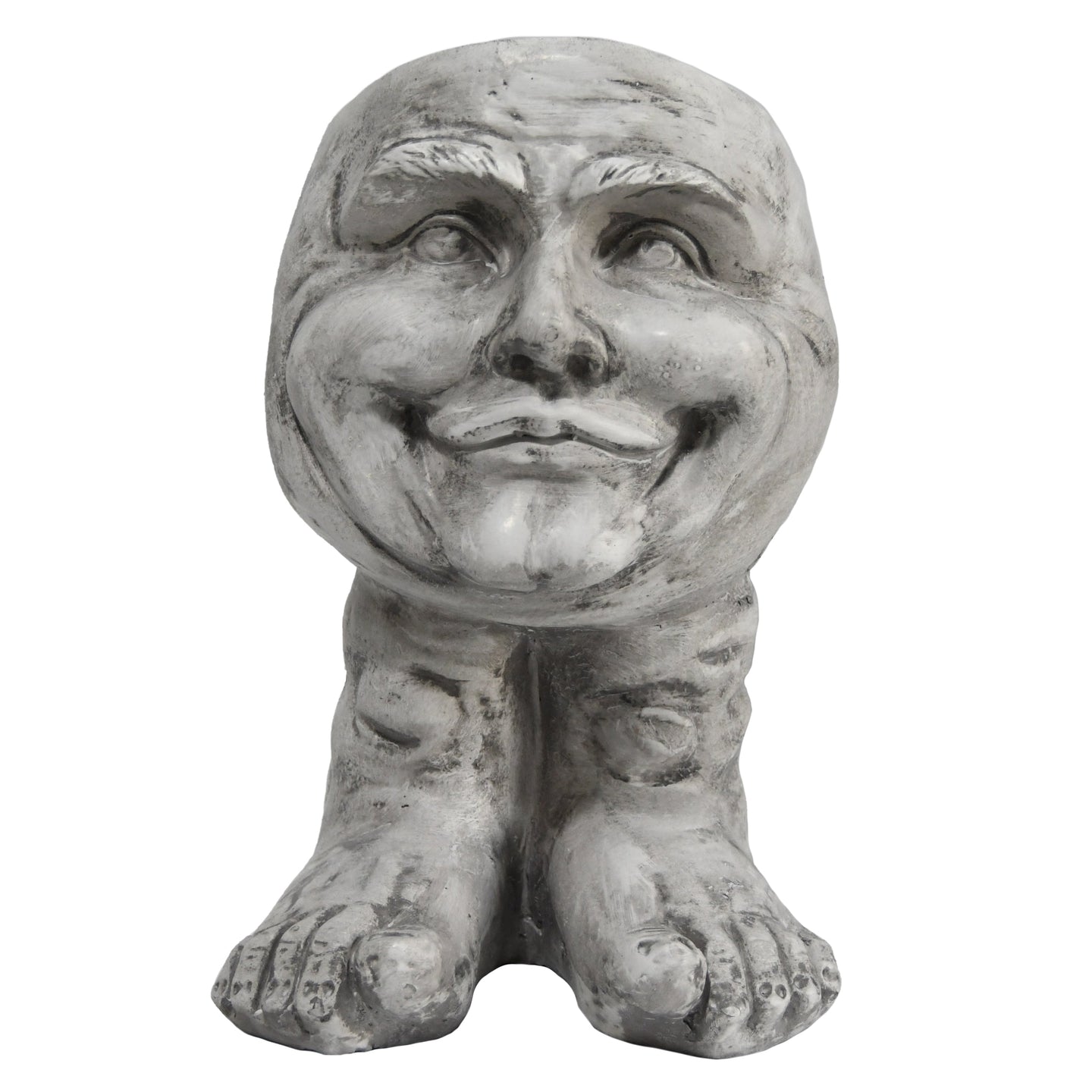 Joyful Grin: Whimsical Elegance in a Planter