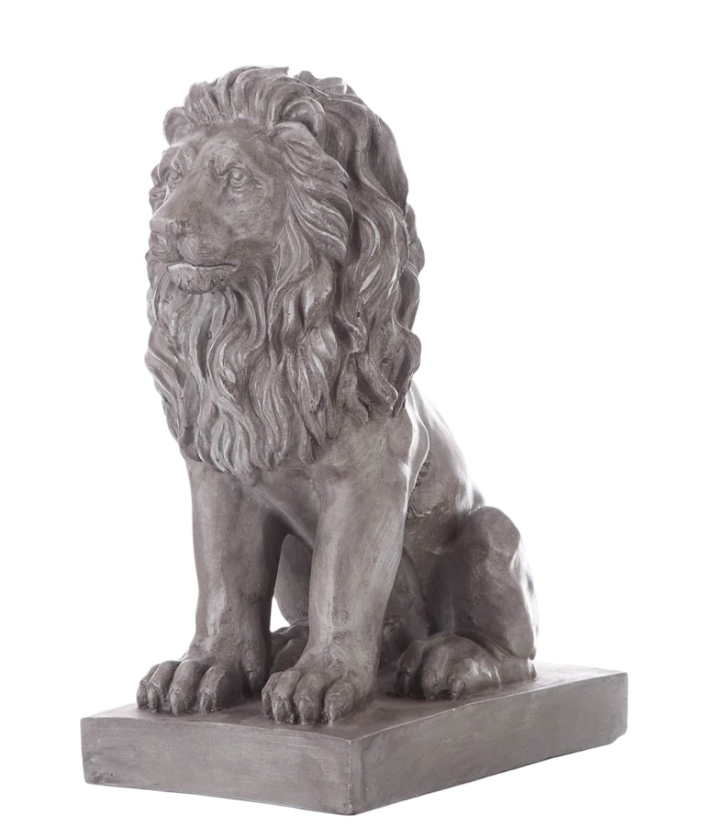 Lion Sitting