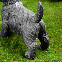 Load image into Gallery viewer, Cairn Terrier Statue Black Life Size Home Decor Garden Yard Statue
