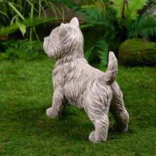 Load image into Gallery viewer, Cairn Terrier Garden Statue Gray Life Size Home Yard Decor
