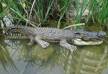 Load image into Gallery viewer, Crocodile Large Floater
