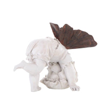 Load image into Gallery viewer, Baby Fairy Tumbling

