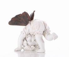 Load image into Gallery viewer, Baby Fairy Tumbling
