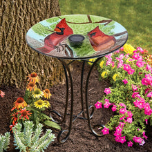 Load image into Gallery viewer, Solar LED Floral Glass Bird Bath with Stand - Cardinal
