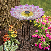 Load image into Gallery viewer, Solar LED Floral Glass Bird Bath with Stand - Pink Dahlia
