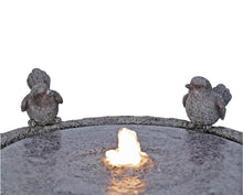 Load image into Gallery viewer, 27&quot; H Natural Finish Bird Bath Fountain Outdoor W/Ww LED
