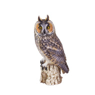 SoReal - Long Eared Owl