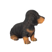 Load image into Gallery viewer, SoReal-  Dachshund
