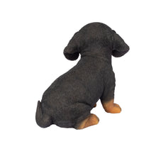 Load image into Gallery viewer, SoReal-  Dachshund
