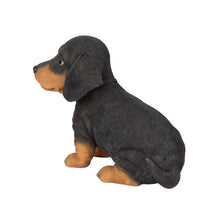 Load image into Gallery viewer, SoReal-  Dachshund
