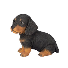 Load image into Gallery viewer, SoReal-  Dachshund
