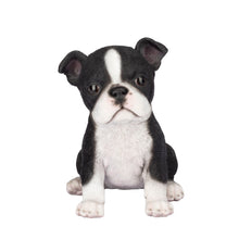 Load image into Gallery viewer, SoReal- Boston Terrier
