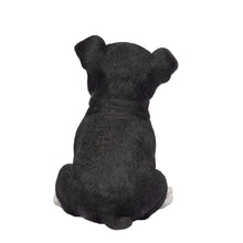 Load image into Gallery viewer, SoReal- Boston Terrier
