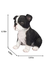 Load image into Gallery viewer, SoReal- Boston Terrier
