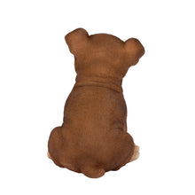 Load image into Gallery viewer, SoReal- Boston Terrier
