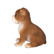 Load image into Gallery viewer, SoReal- Boston Terrier
