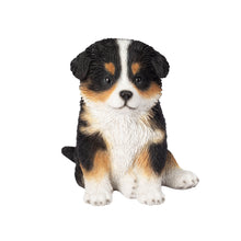 Load image into Gallery viewer, SoReal - Australian Shepherd
