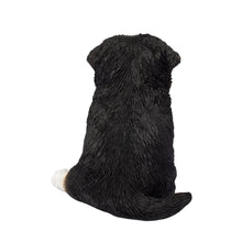 Load image into Gallery viewer, SoReal - Australian Shepherd
