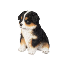 Load image into Gallery viewer, SoReal - Australian Shepherd
