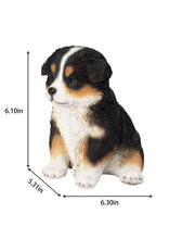 Load image into Gallery viewer, SoReal - Australian Shepherd
